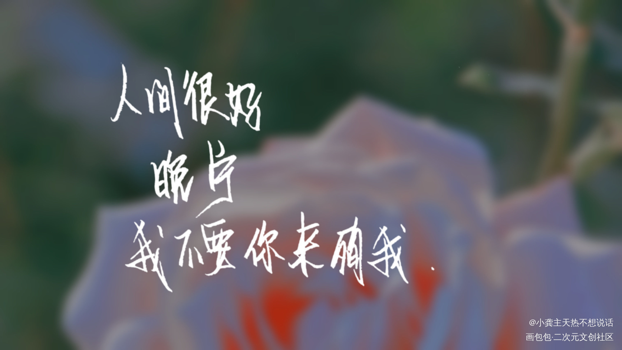 二哈和他的白猫师尊_二哈和他的白猫师尊燃晚我要上首推字体设计见字如晤手写绘画作品