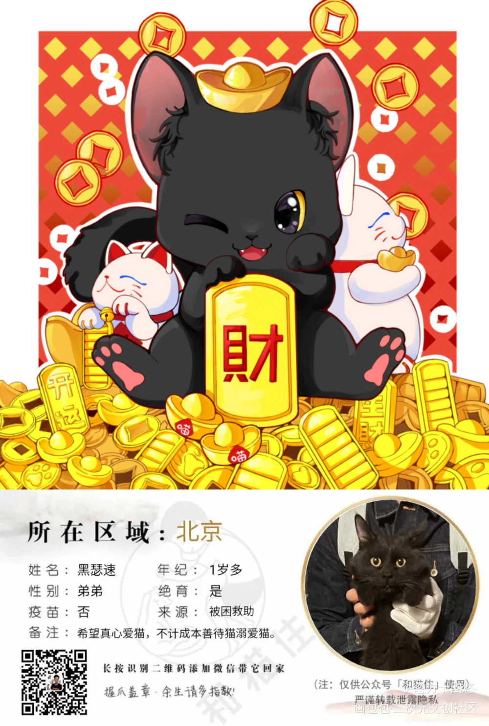 黑猫不召厄，招财(^･ｪ･^)_猫猫平涂Q版头像插画关爱流浪动物领养代替购买原创绘画作品