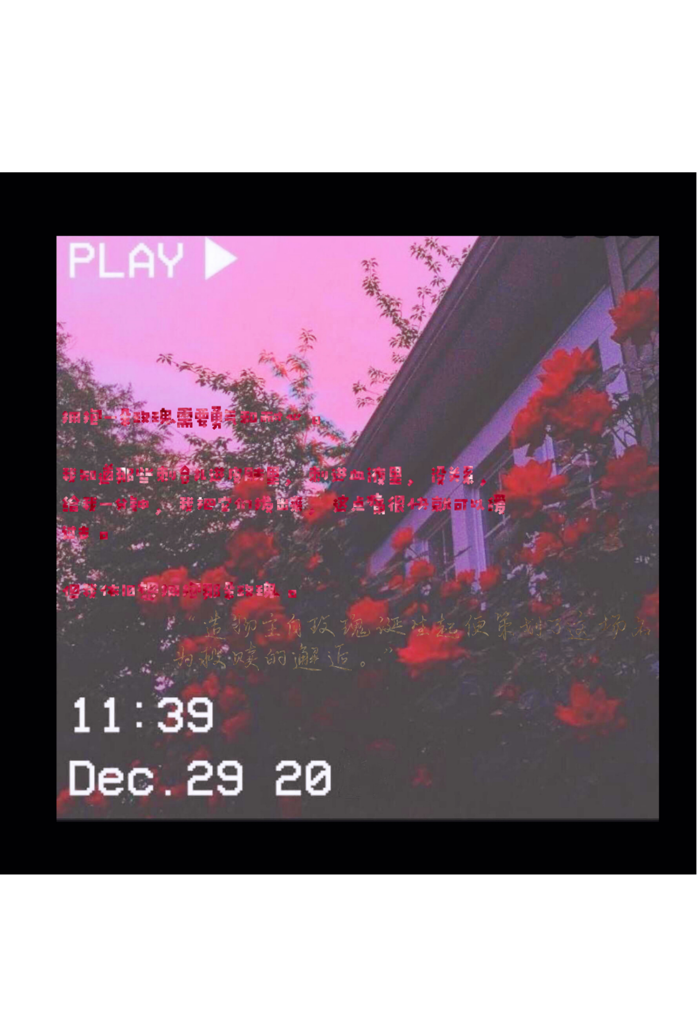 拥抱一朵玫瑰需要勇气和耐心。_我只喜欢你的人设绘画作品