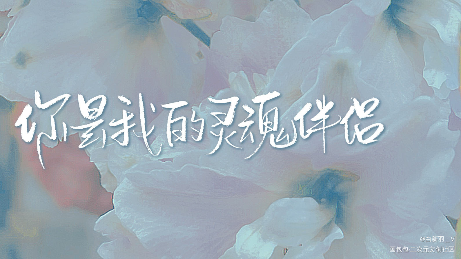 灵魂伴侣_我只喜欢你的人设自习周自珩夏习清我要上首推字体设计见字如晤板写绘画作品