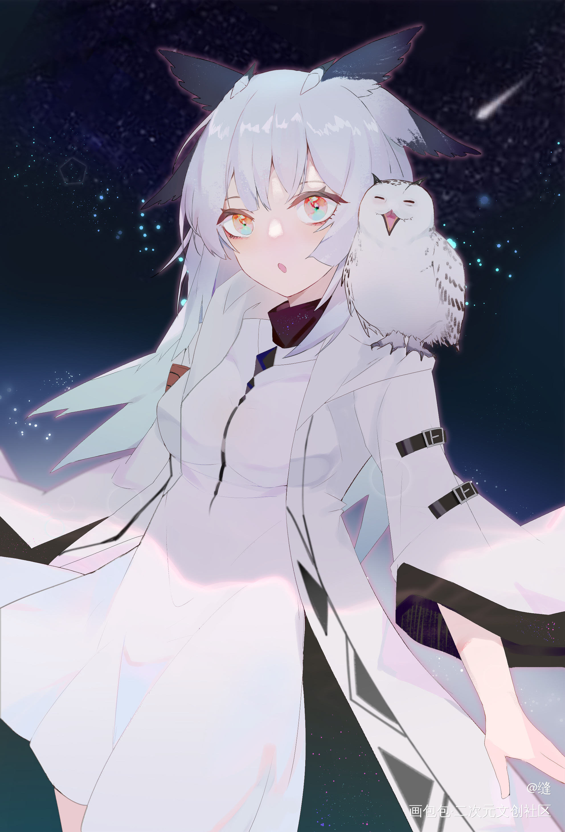 星空_明日方舟白面鸮平涂日系板绘插画绘画作品