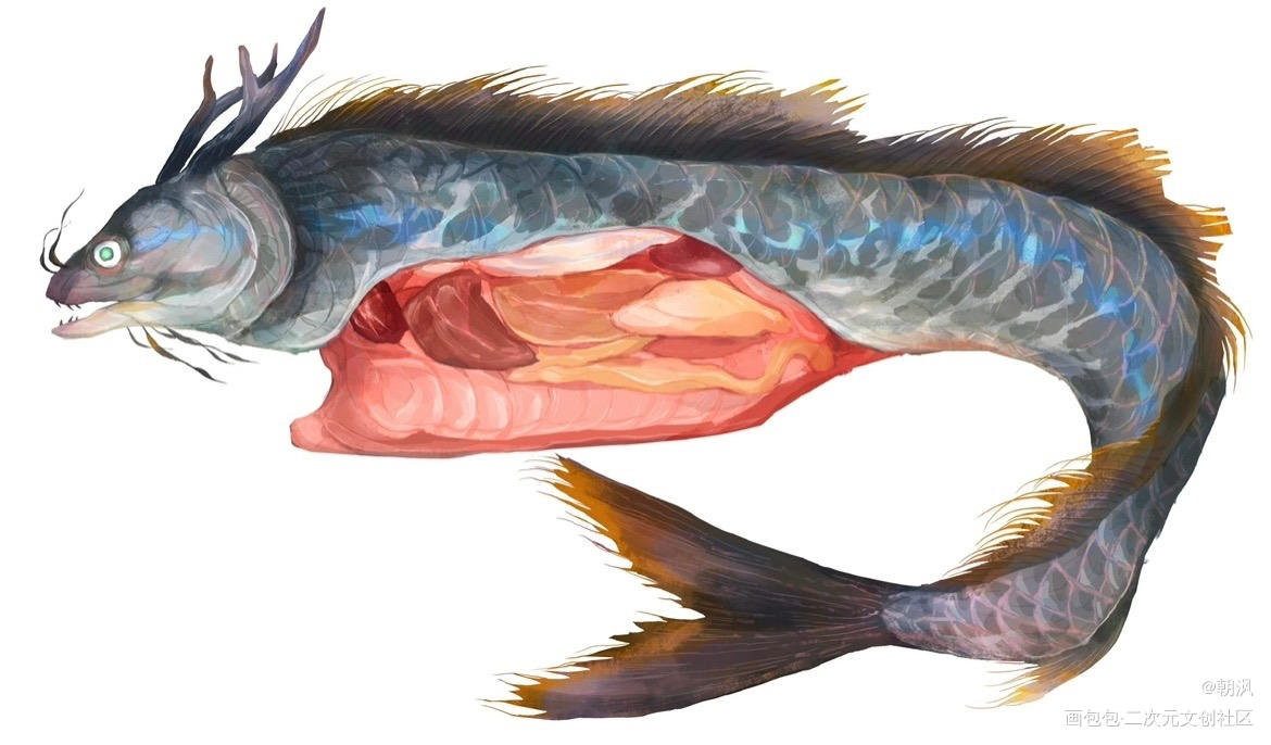 鱼化龙_人外动物插画幻想生物画画板绘插画绘画绘画作品