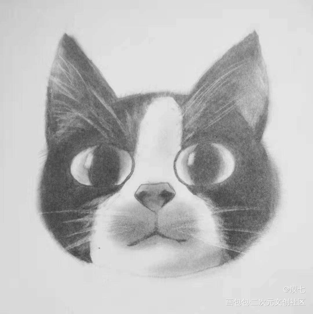 胖猫猫～_手绘绘画作品