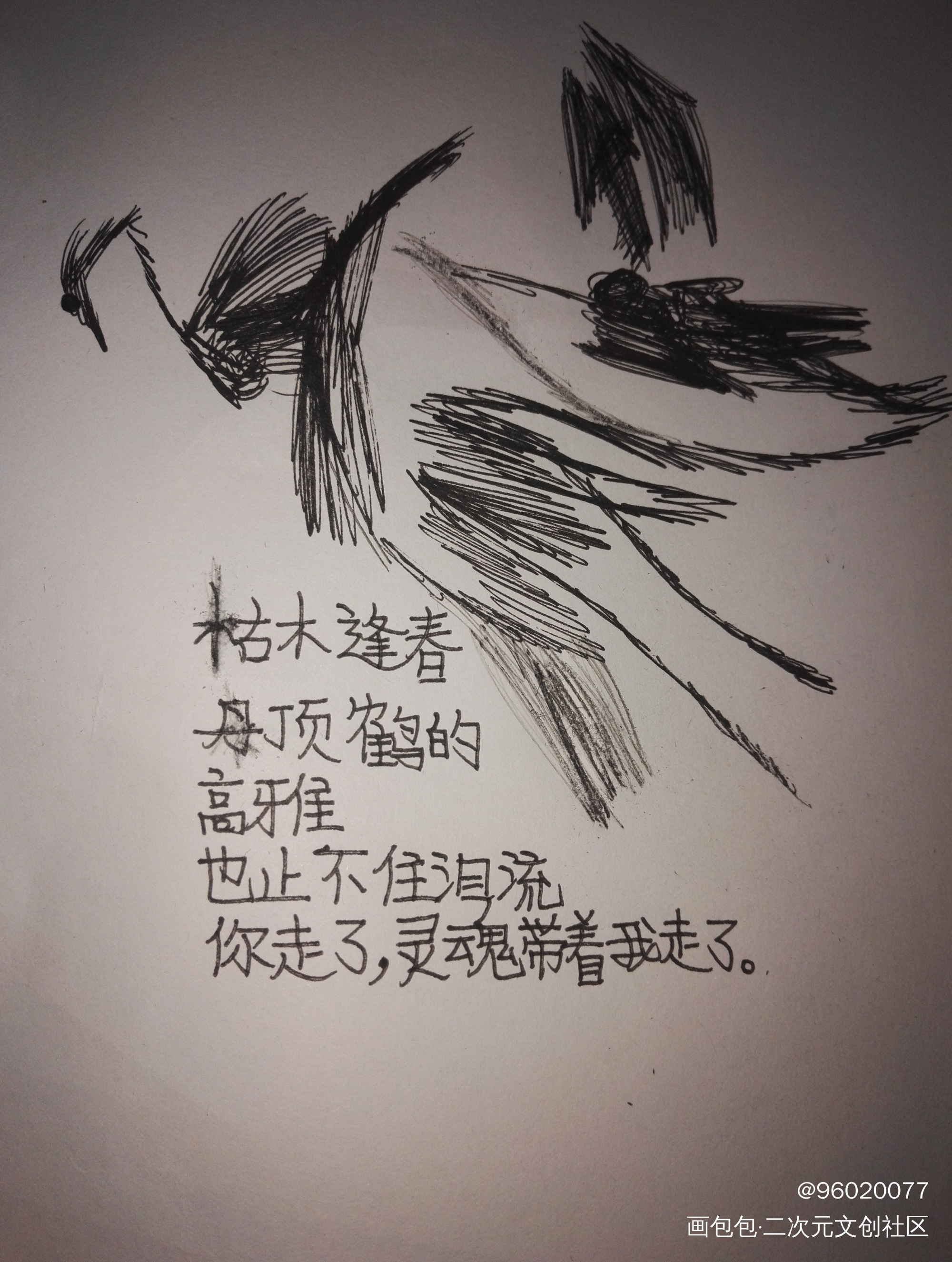 有趣的画_手绘手写绘画作品