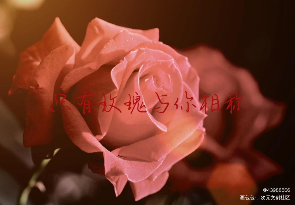 只有玫瑰?与你相称●ｖ●_我只喜欢你的人设自习绘画作品