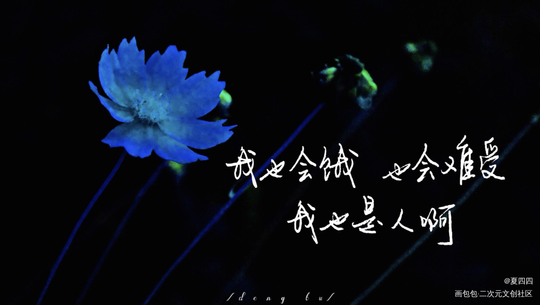 我也是人啊_二哈和他的白猫师尊楚晚宁见字如晤绘画作品