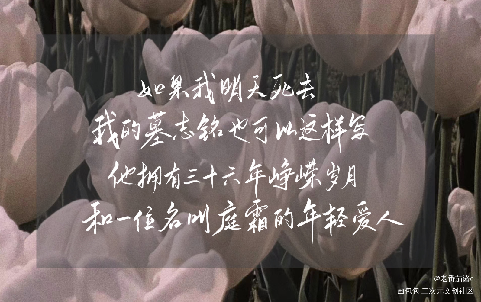 你的距离_你的距离我要上首推字体设计见字如晤板写手写绘画作品