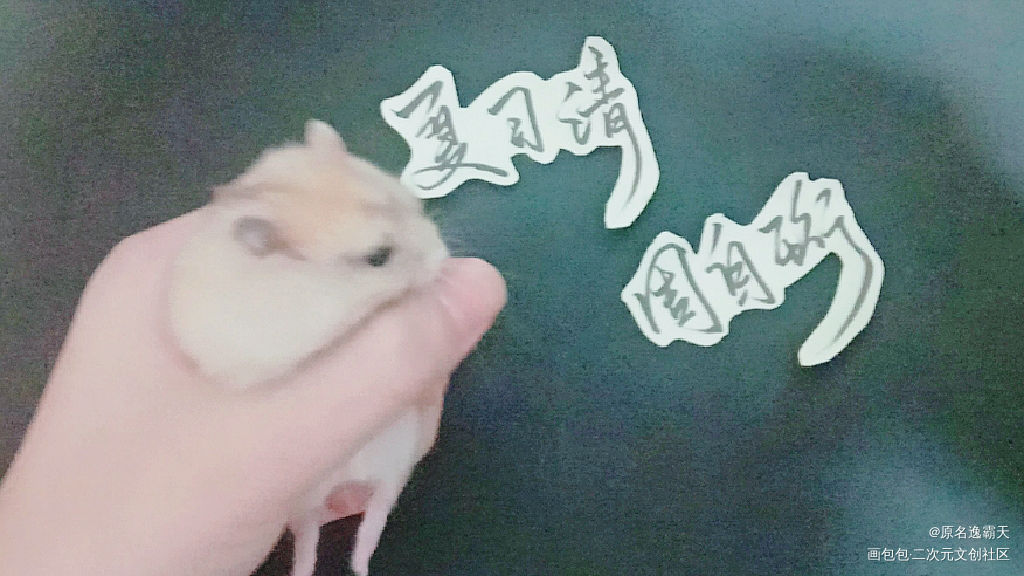 谁也阻挡不了我磕自习！！_我只喜欢你的人设绘画作品