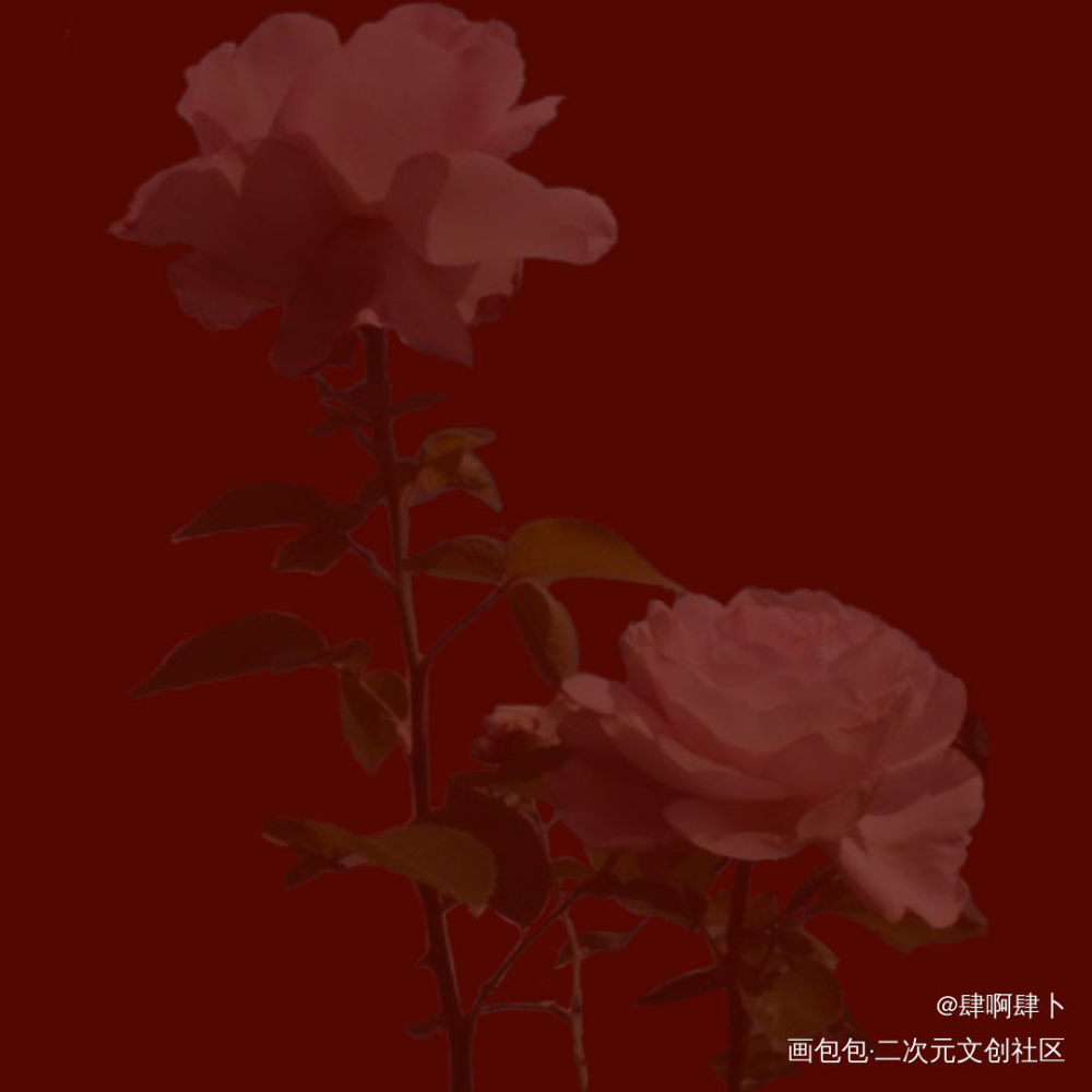 “唯有玫瑰与你相称”_我只喜欢你的人设稚楚见字如晤手写绘画作品