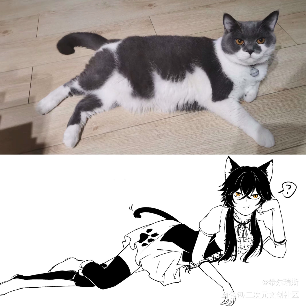 猫猫酱_oc绘画作品