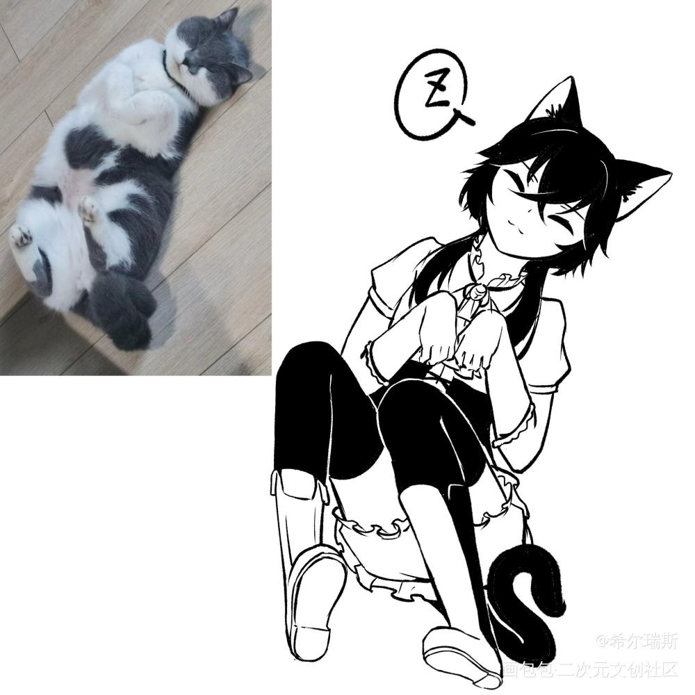 还是猫猫_oc绘画作品