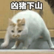 随便写写_我要上首推字体设计见字如晤手写绘画作品