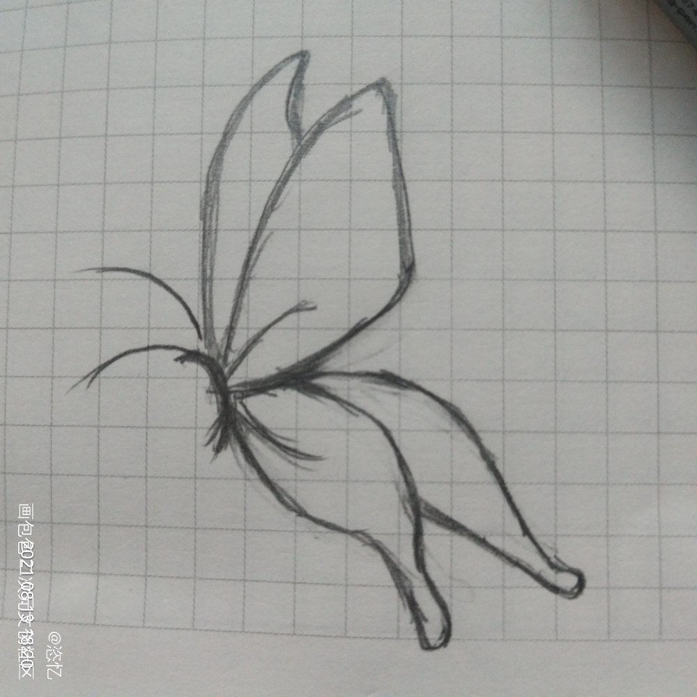 发发的蝶蝶_天官赐福花怜花城手绘Q版墨香铜臭临摹绘画作品