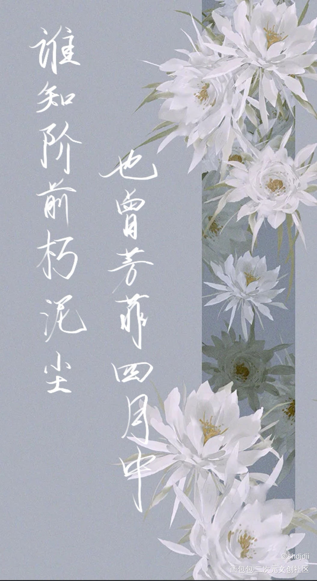 二哈和他的白猫师尊_二哈和他的白猫师尊我要上首推字体设计指写见字如晤绘画作品