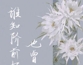 二哈和他的白猫师尊_绘画作品