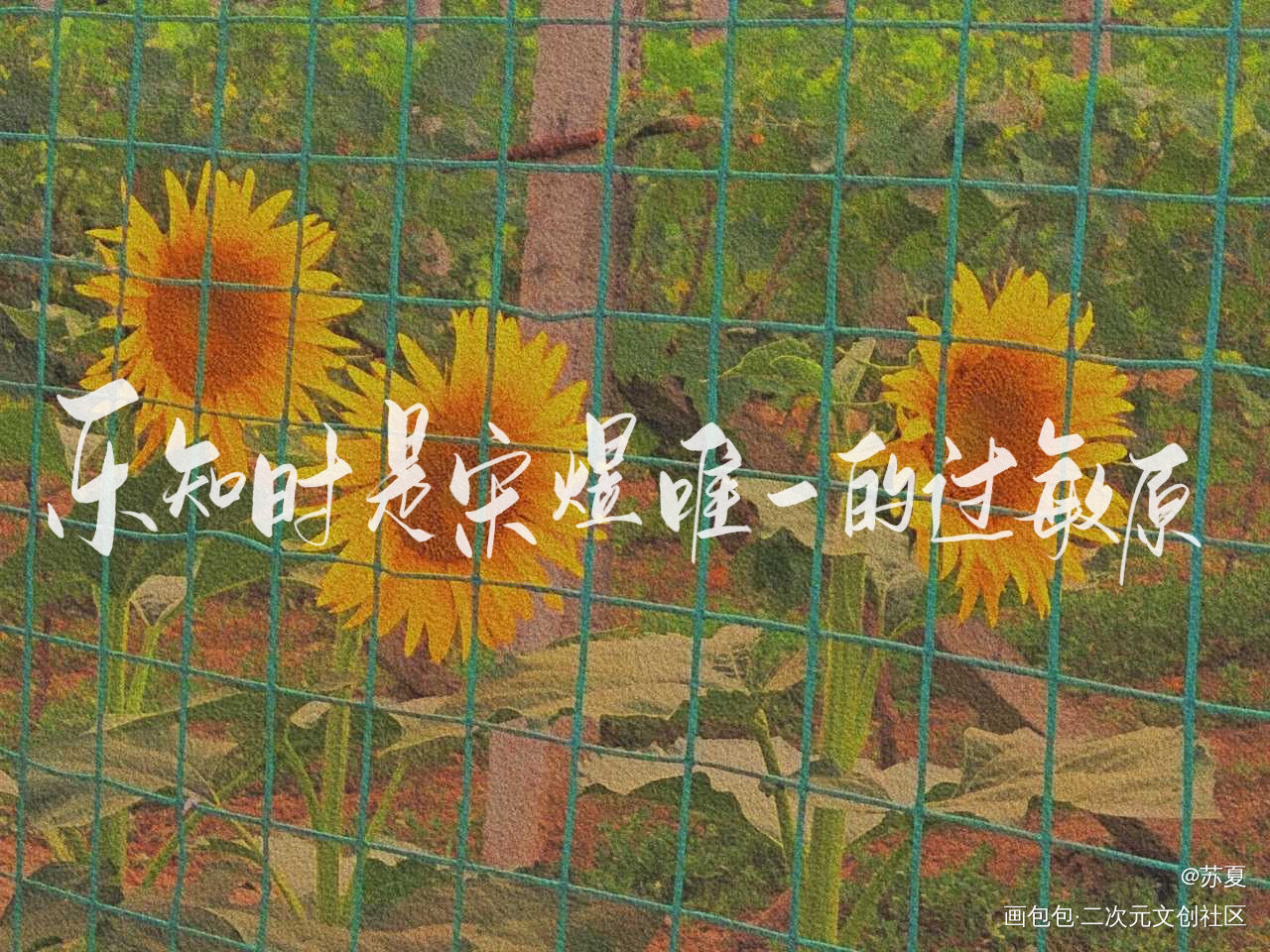 可爱过敏原～_可爱过敏原我要上首推字体设计见字如晤板写绘画作品
