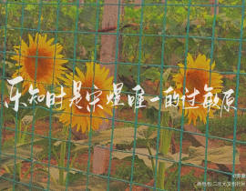 可爱过敏原～_绘画作品