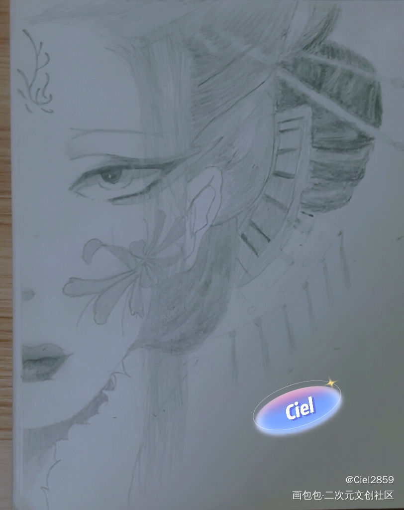 <临摹作品>半面美人儿_手绘古风绘画作品