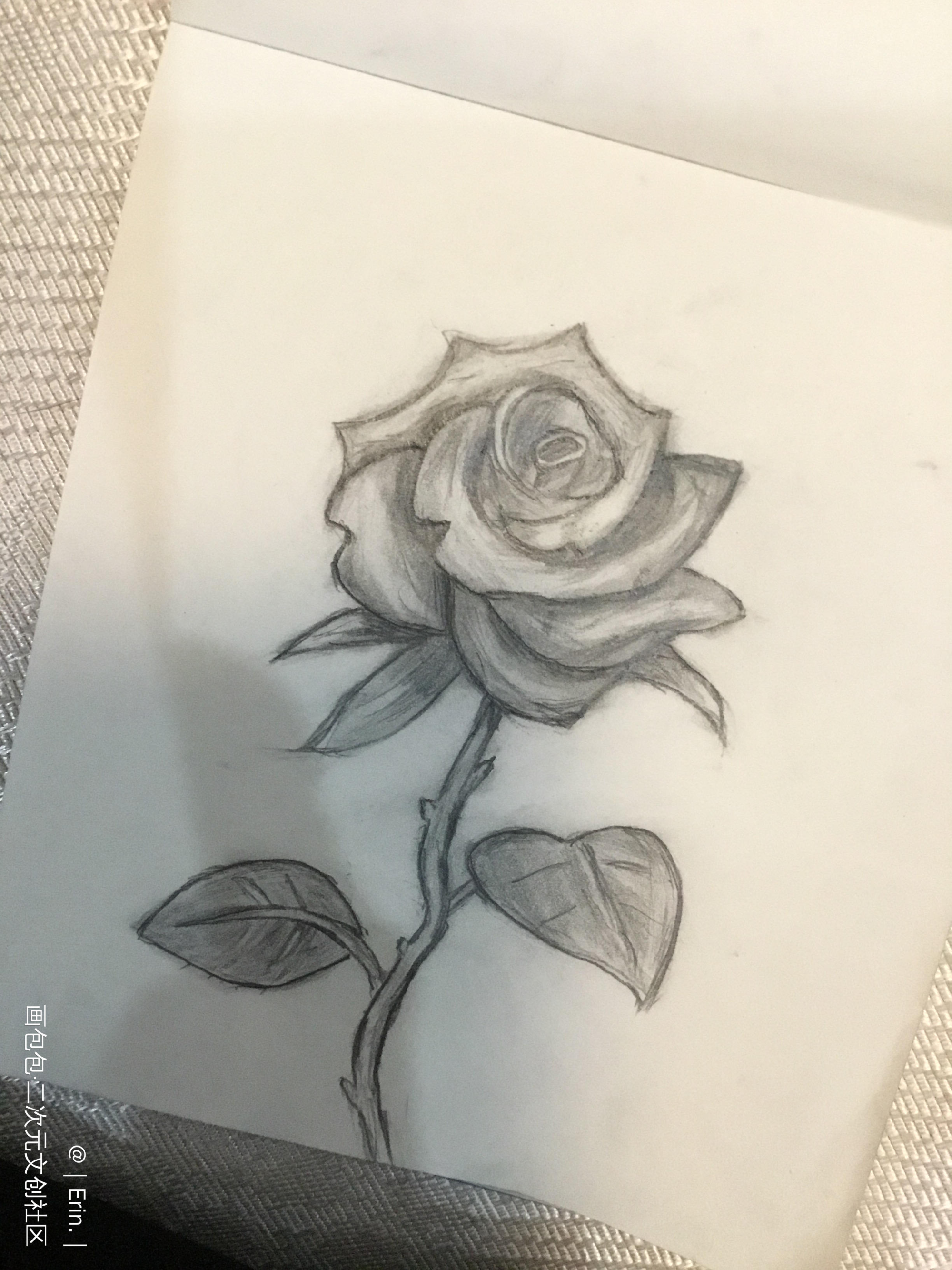 浪漫会至死不渝_手绘绘画作品