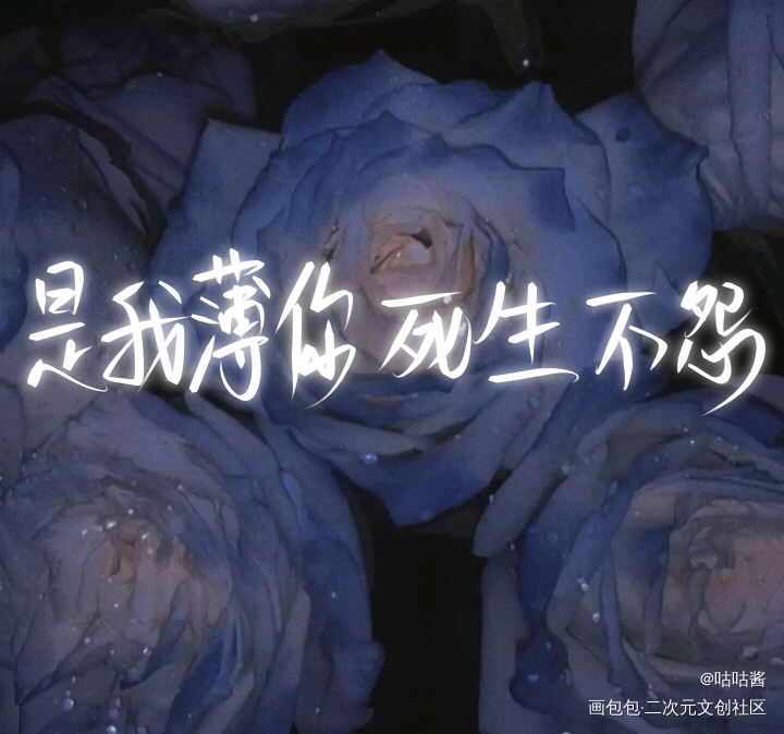 二哈和他的白猫师尊_二哈和他的白猫师尊燃晚我要上首推字体设计我要上首页指写见字如晤绘画作品