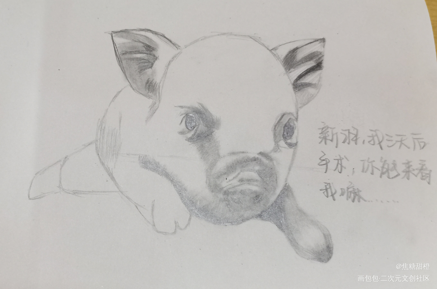 俞?_小白杨俞风城手绘绘画作品