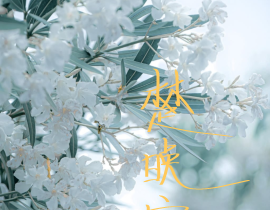 楚晚宁_绘画作品
