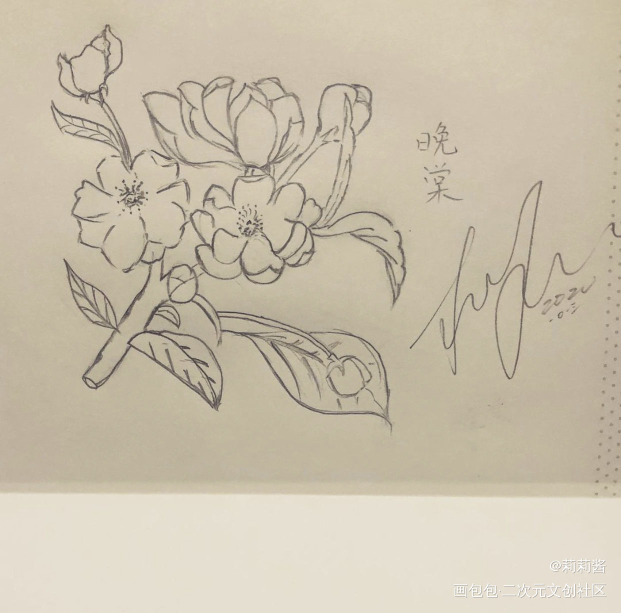 画给师尊的海棠花_二哈和他的白猫师尊绘画作品