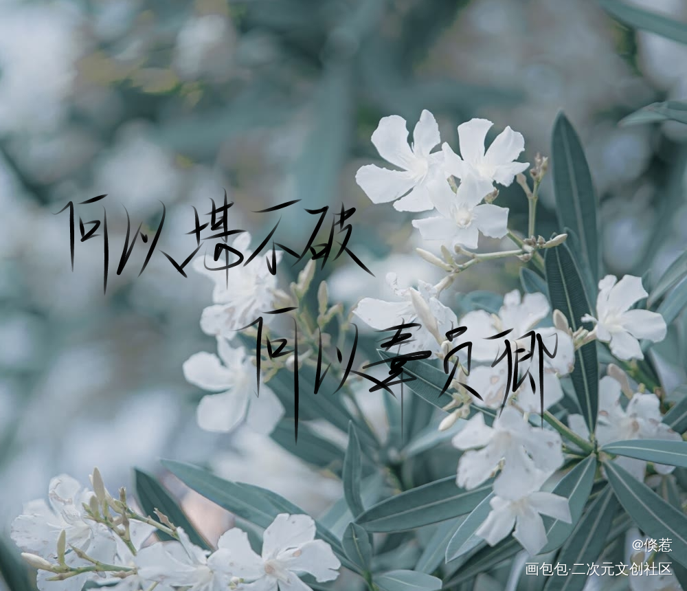 何以堪不破，何以辜负卿_二哈和他的白猫师尊燃晚我要上首推字体设计见字如晤手写绘画作品