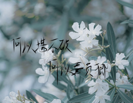 何以堪不破，何以辜负卿_绘画作品