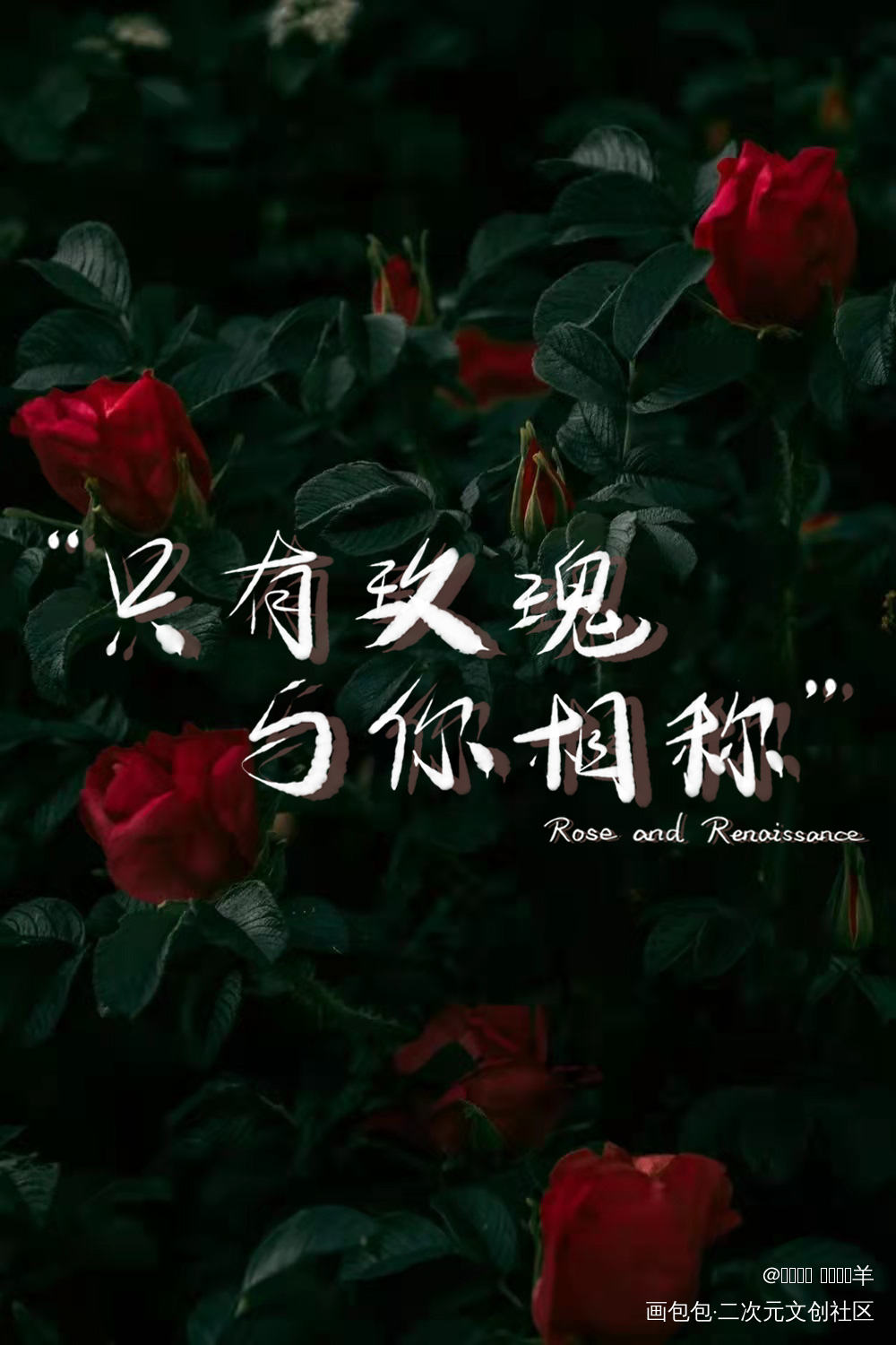 拥抱一朵玫瑰需要耐心和勇气♡_我只喜欢你的人设自习稚楚见字如晤板写绘画作品