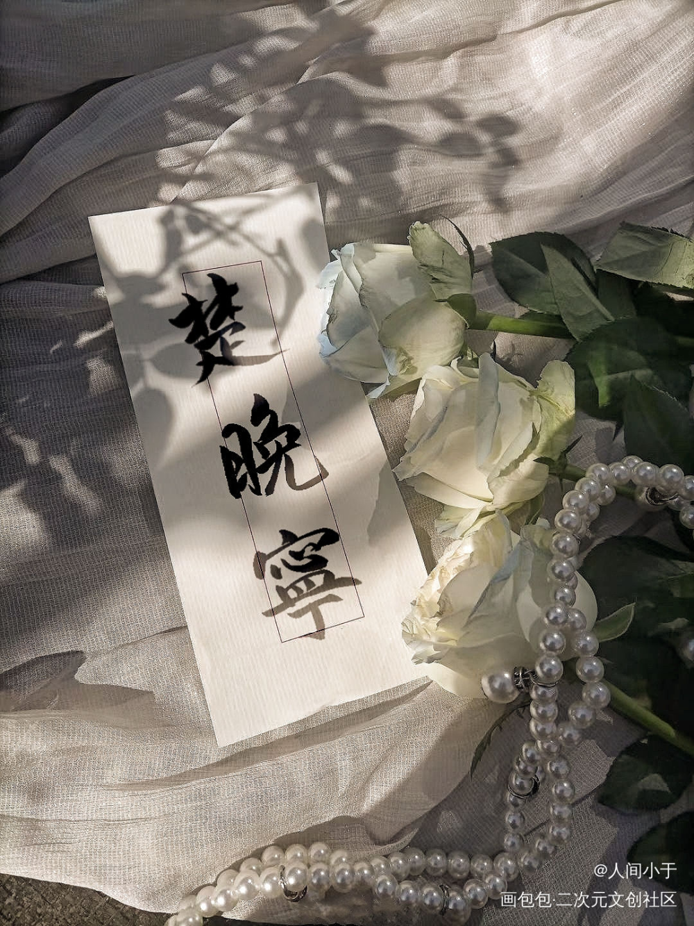 晚宁晚宁_二哈和他的白猫师尊楚晚宁板写绘画作品