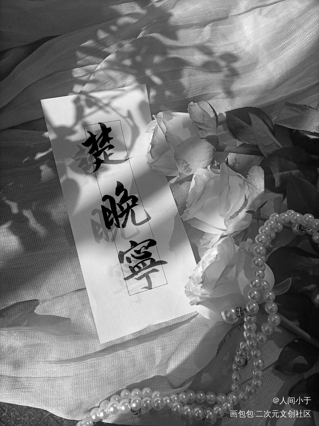 晚宁晚宁_二哈和他的白猫师尊楚晚宁板写绘画作品