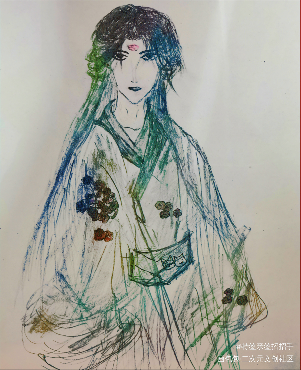 楚晚宁_二哈和他的白猫师尊楚晚宁手绘绘画作品