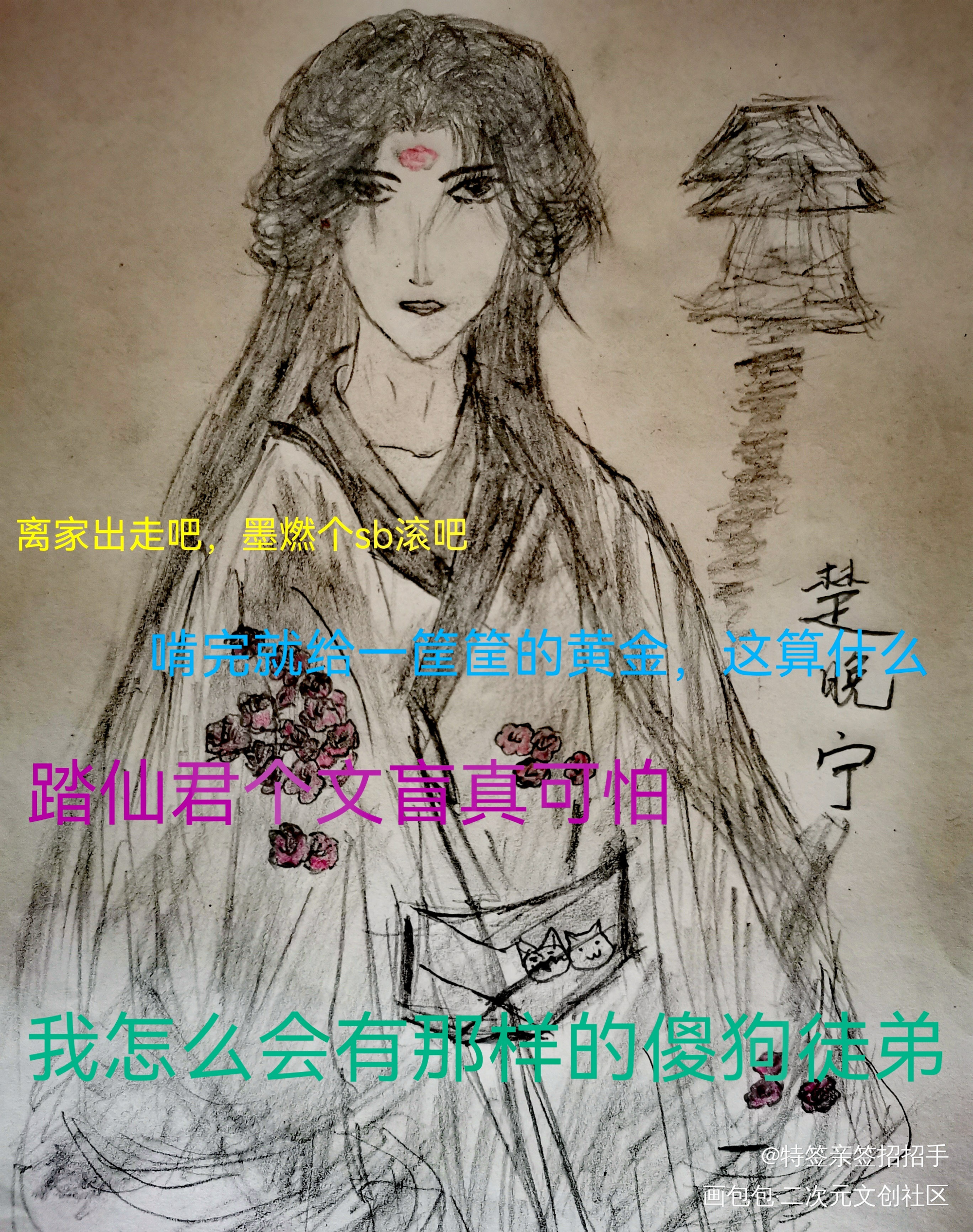 楚晚宁_二哈和他的白猫师尊楚晚宁手绘绘画作品