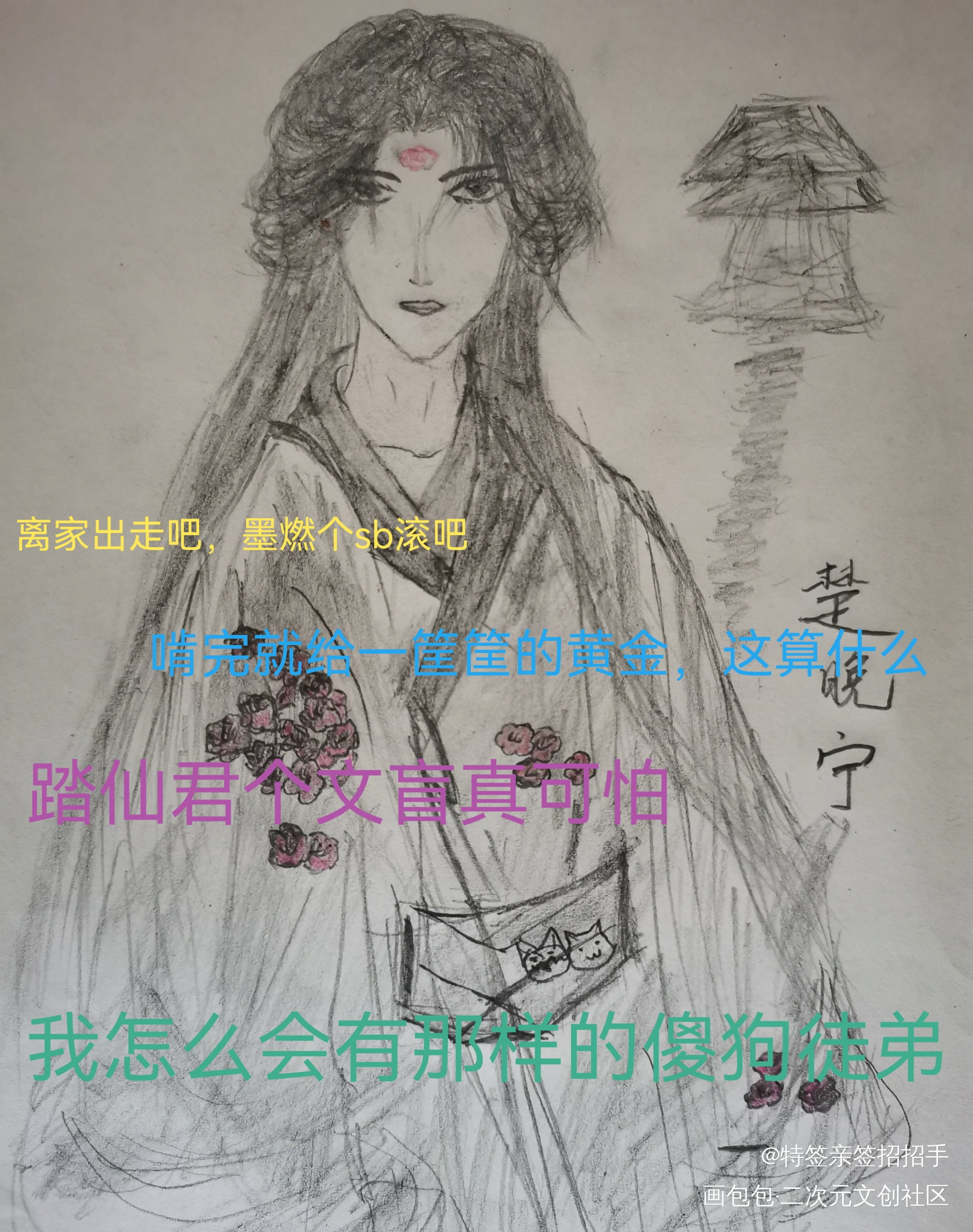楚晚宁_二哈和他的白猫师尊楚晚宁手绘绘画作品