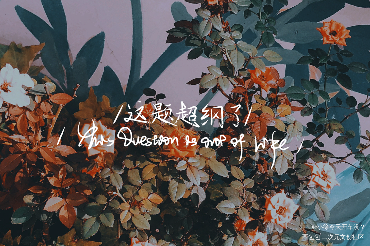/这题超纲了/_这题超纲了我要上首推指写见字如晤手写绘画作品
