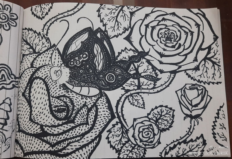 Fa蝴蝶?_线描手绘绘画作品