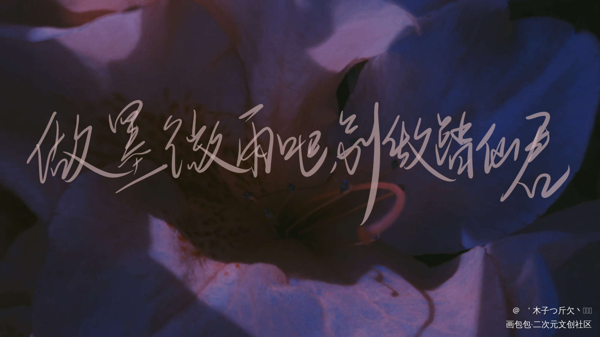 二哈合集3_二哈和他的白猫师尊原耽语录我要上首推字体设计见字如晤板写绘画作品