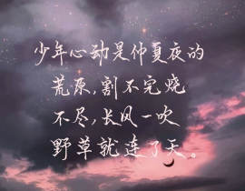 对某某的喜爱_绘画作品