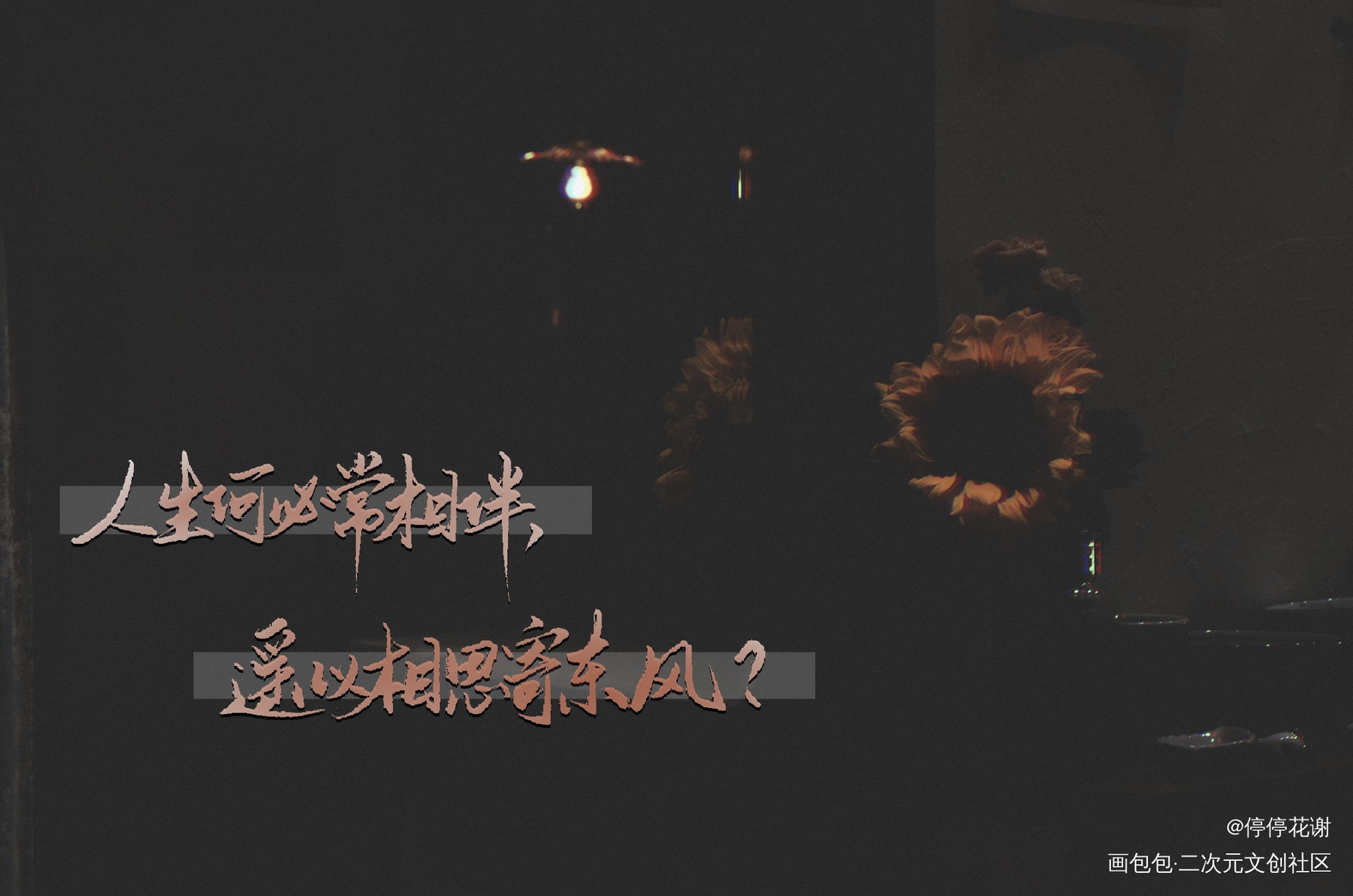 二哈和他的白猫师尊_二哈和他的白猫师尊燃晚我要上首推字体设计见字如晤绘画作品