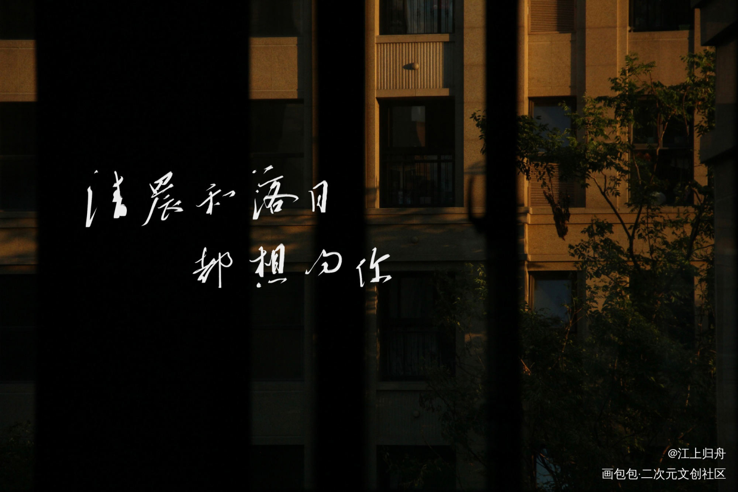 清晨和落日，都想吻你。_信息素缺失报告字体设计见字如晤板写绘画作品