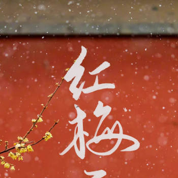 红梅覆雪,兰舟笼香_手写将进酒萧策安沈兰舟我要上首推见字如晤字体