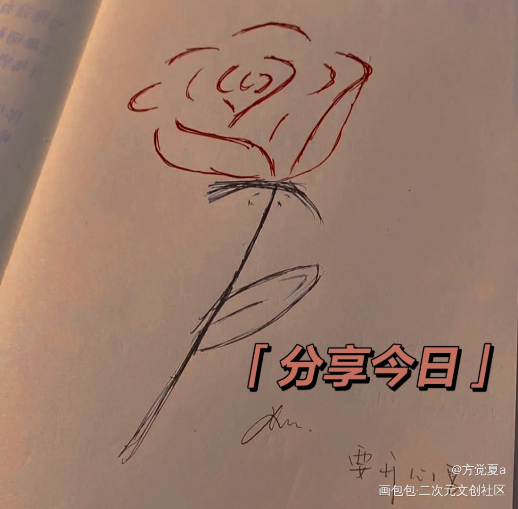 玫瑰_手绘绘画作品