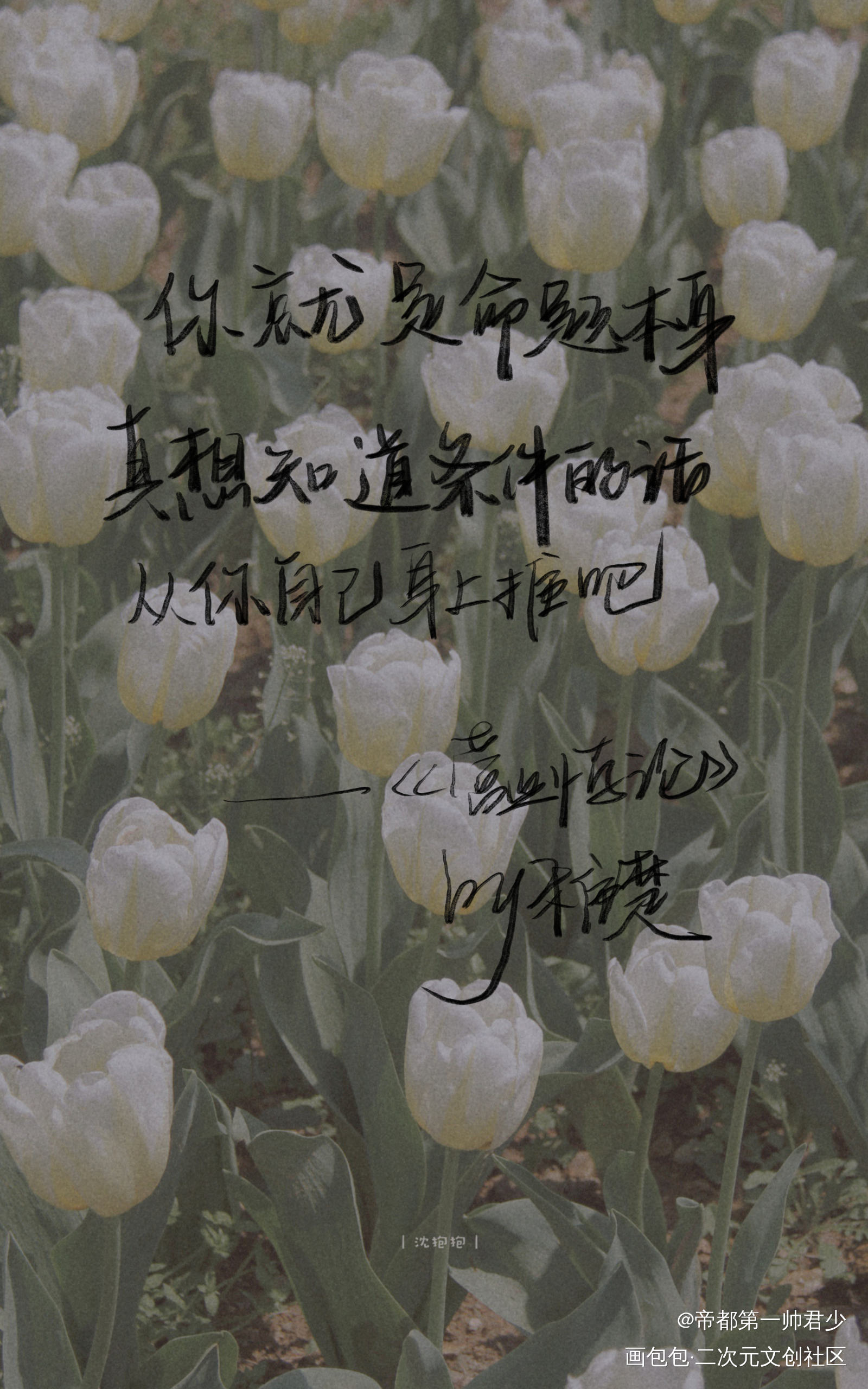 你就是命题本身_营业悖论我要上首推字体设计稚楚见字如晤板写绘画作品