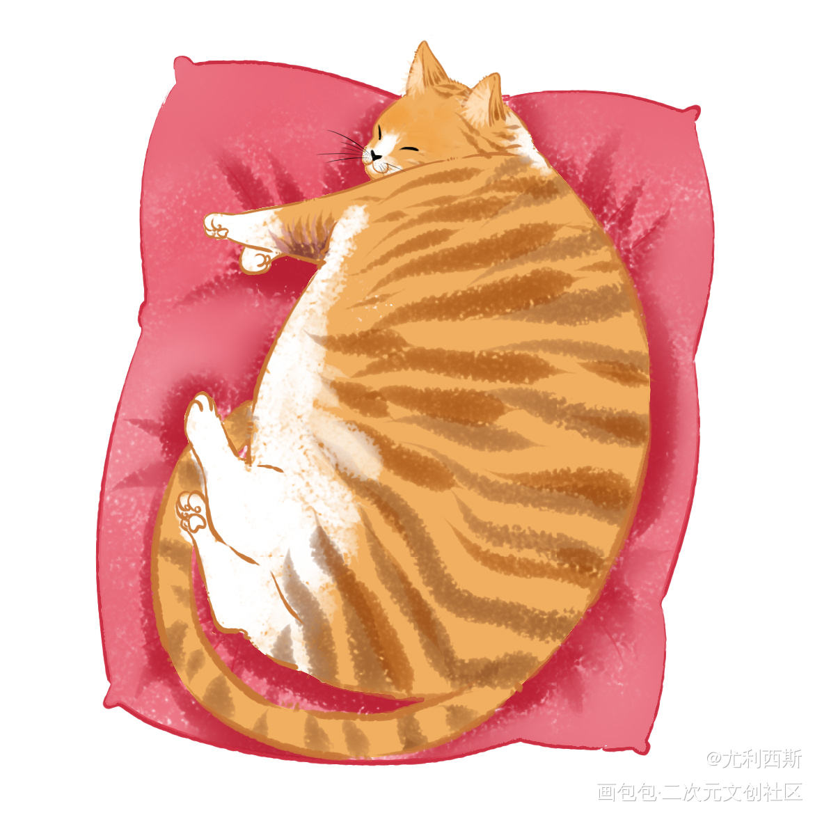 胖橘_平涂猫板绘绘画绘画作品