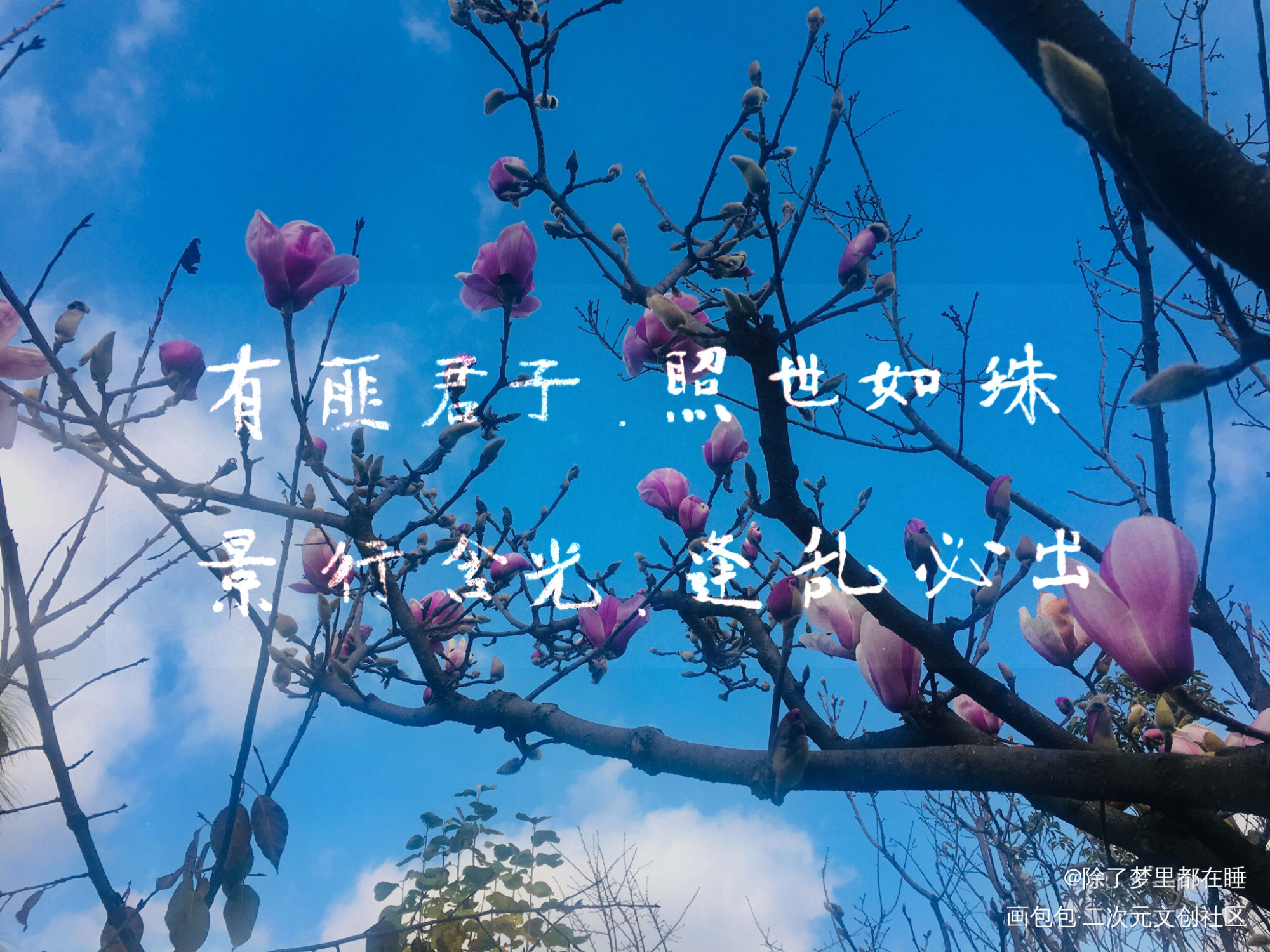 魔道祖师 手写_魔道祖师蓝忘机我要上首推字体设计见字如晤手写绘画作品