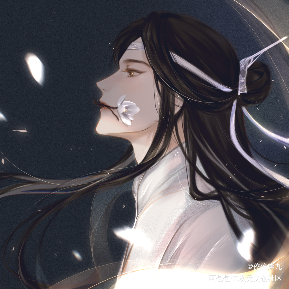 魔道祖师蓝忘机魏无羡_魔道祖师忘羡绘画作品