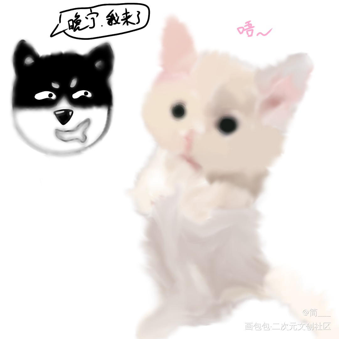 二哈_二哈和他的白猫师尊绘画作品