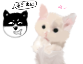 二哈_绘画作品