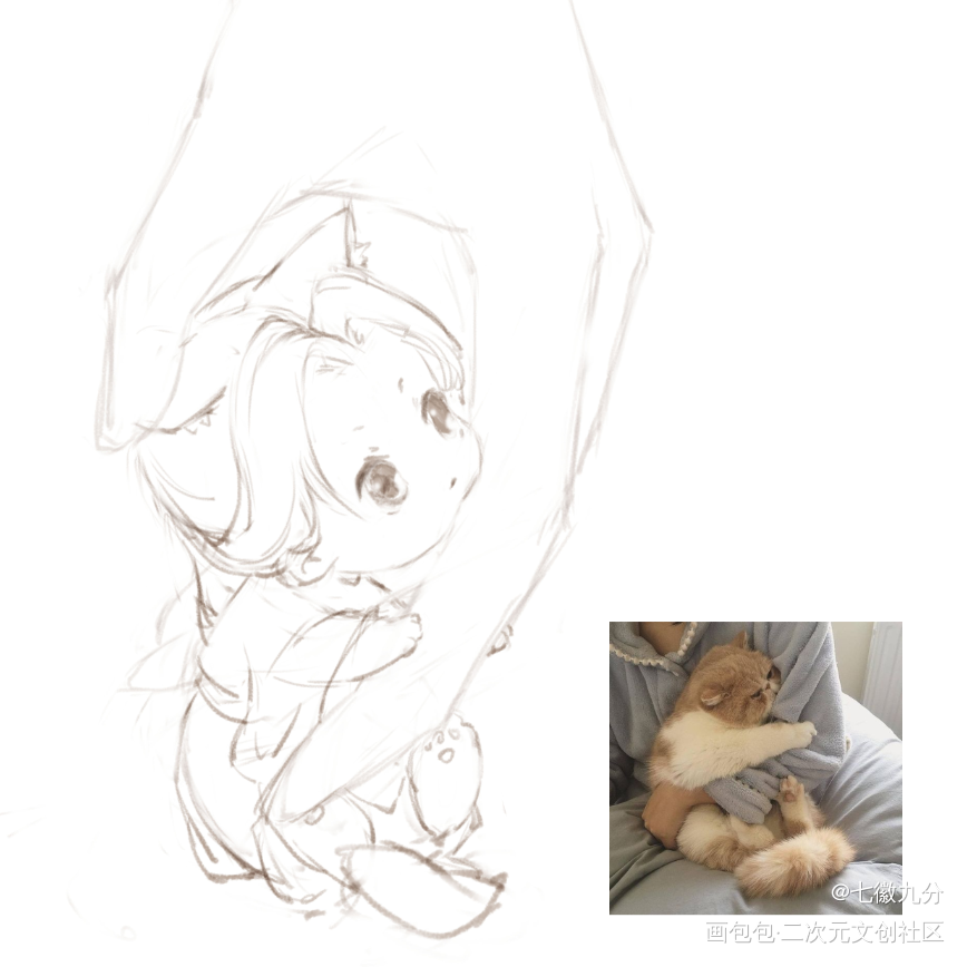 是猫宁快rua他_二哈和他的白猫师尊燃晚Q版绘画作品